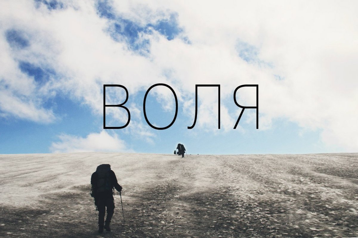 Слово Воля