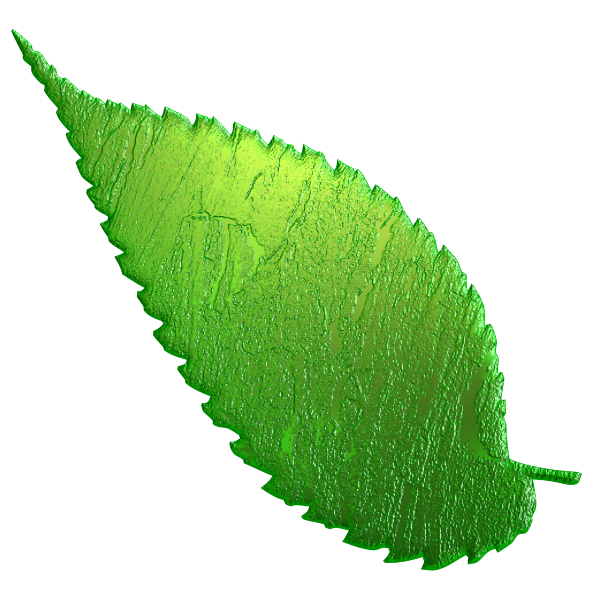 Листочки на прозрачном фоне