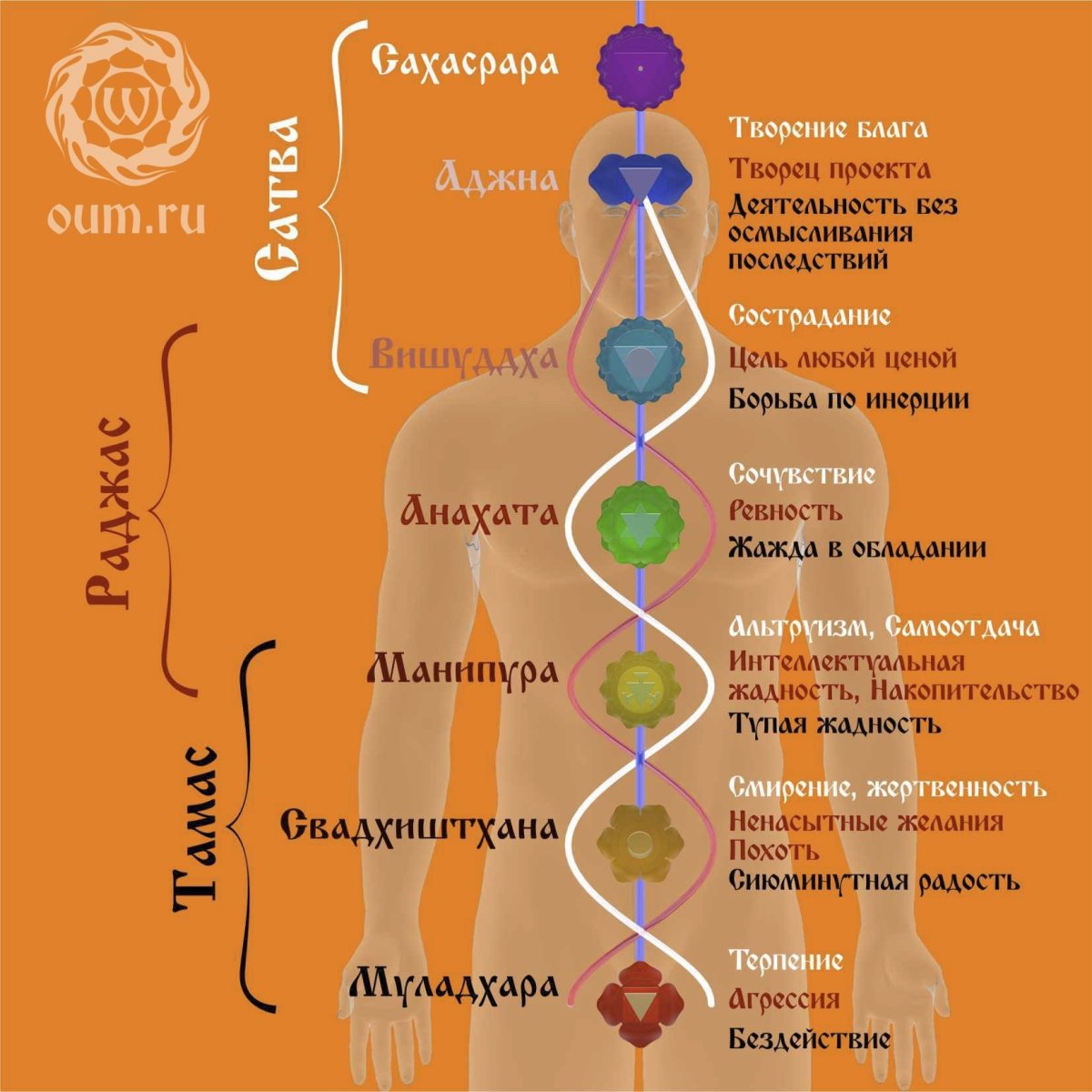Чакры человека схема и описание