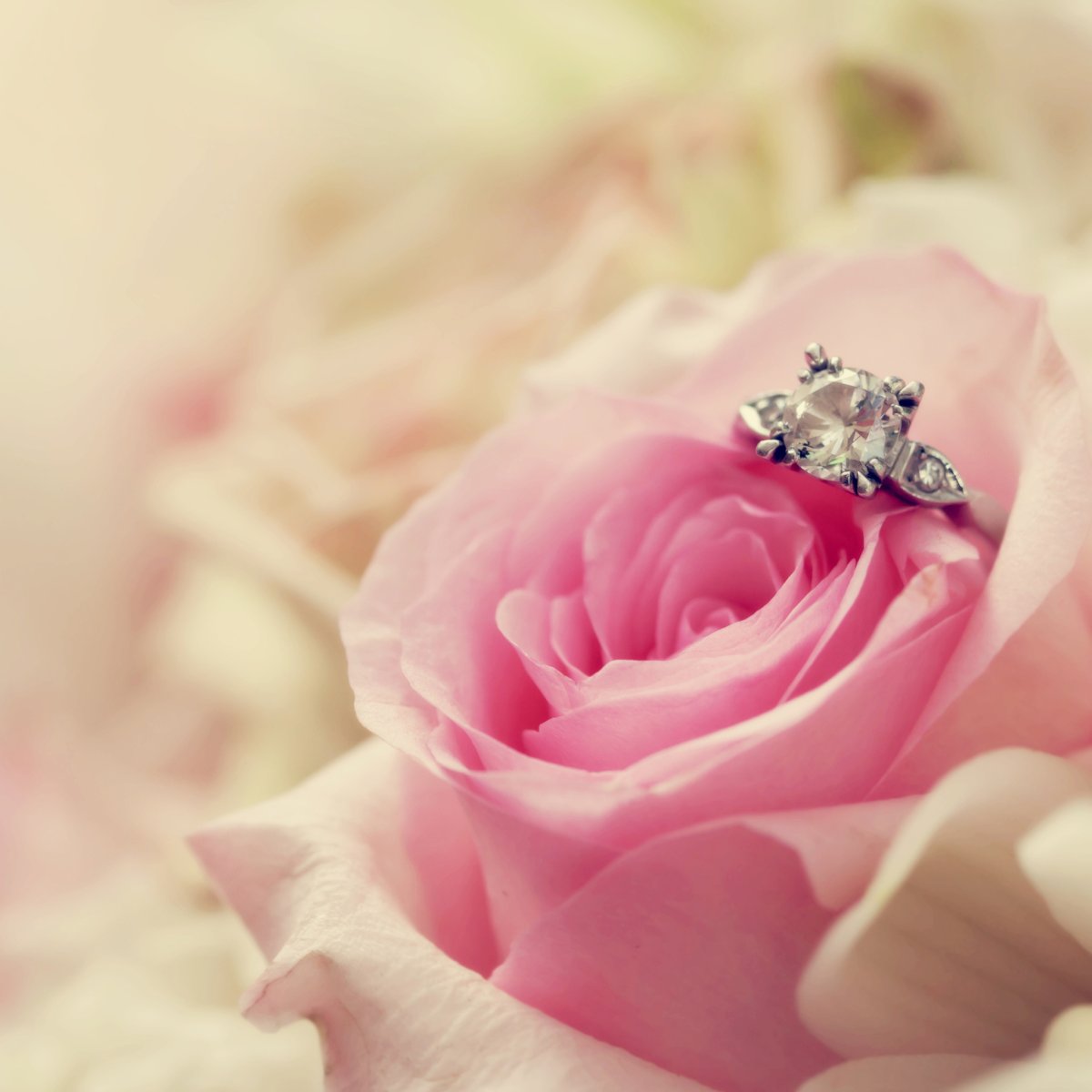 Нежные цвета