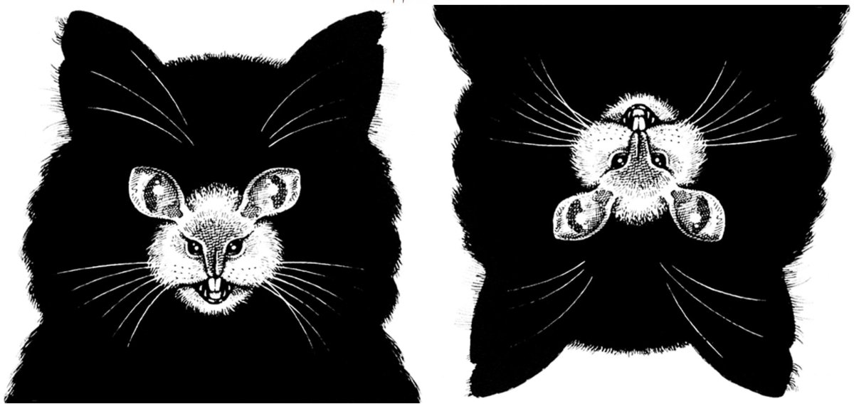 Рисунки перевертыши