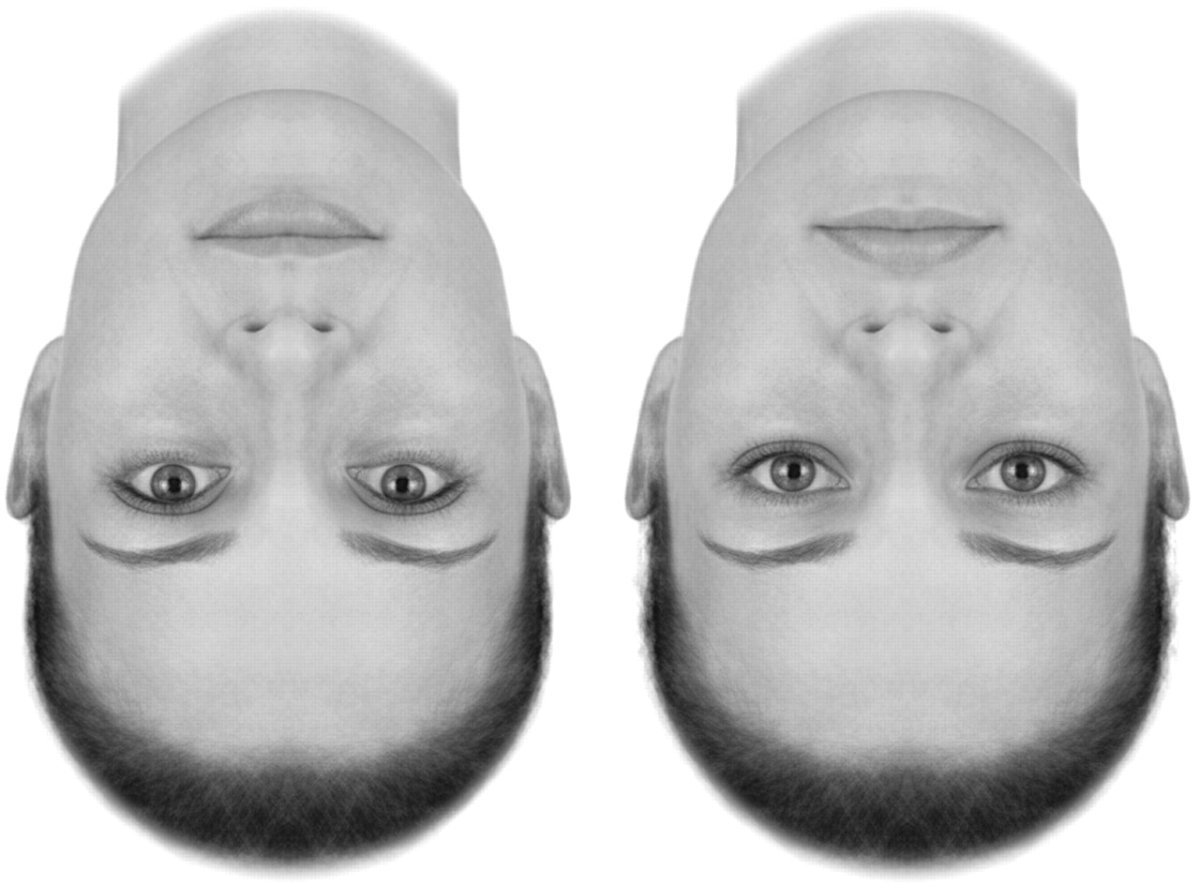 Картинки перевертыши