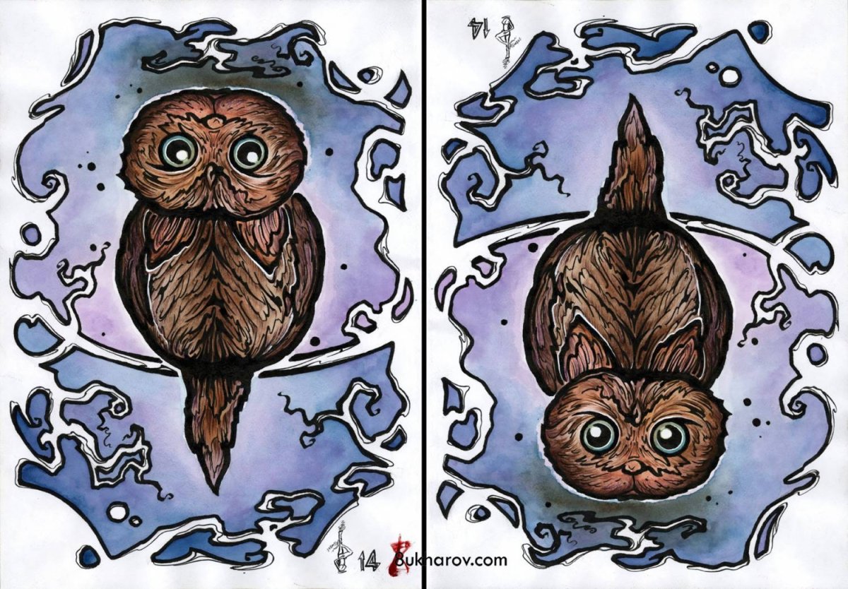 Рисунки перевертыши