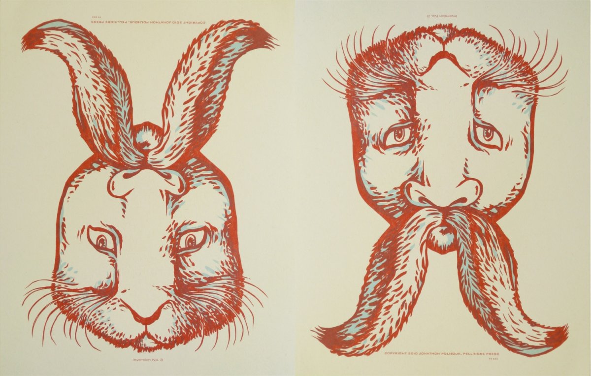 Оптические иллюзии перевертыши