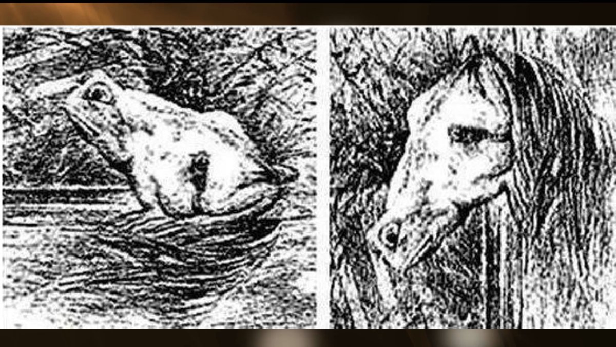 Иллюзия лестница Шредера