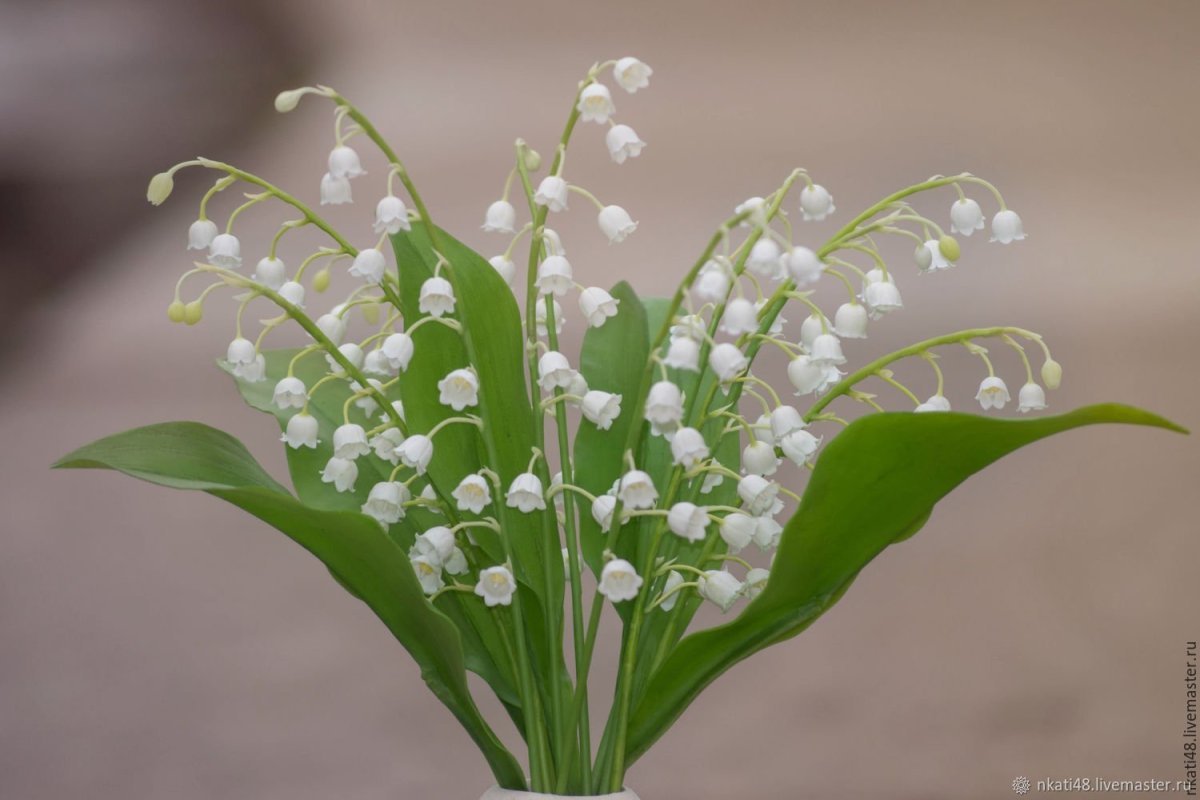 Ландыш мультяшное