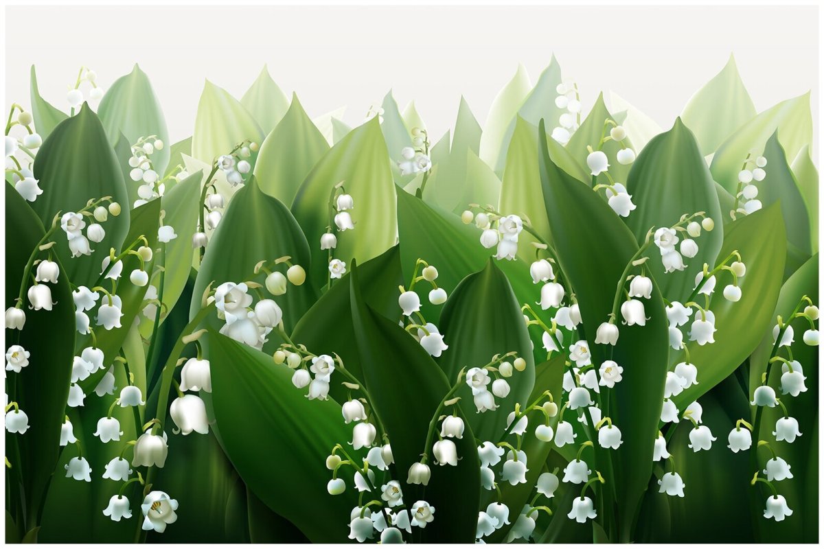 Весенние цветы на прозрачном фоне