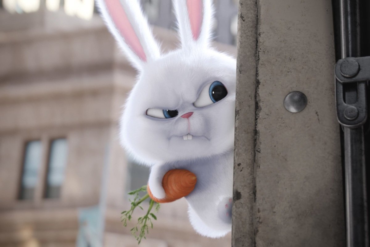 Плачущий заяц