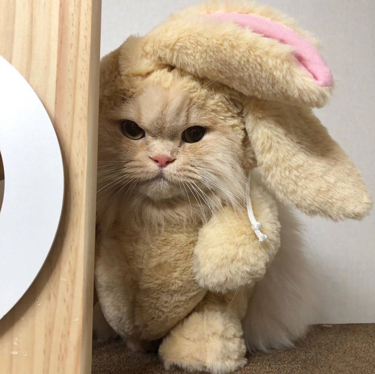 Плачущий Зайка