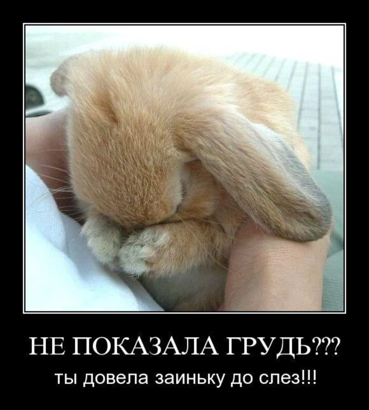 Стеснительный зайчик