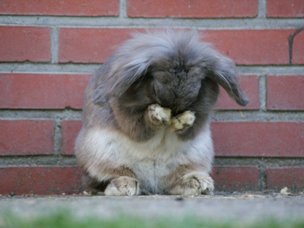 Если кто тебя обидел ты не дуйся