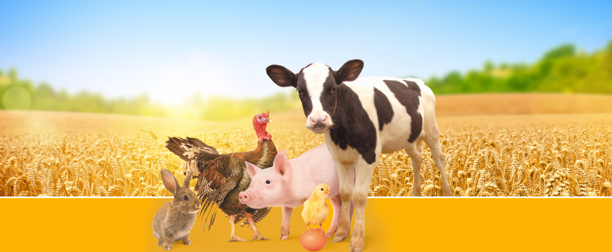 Сельскохозяйство Владимирской области