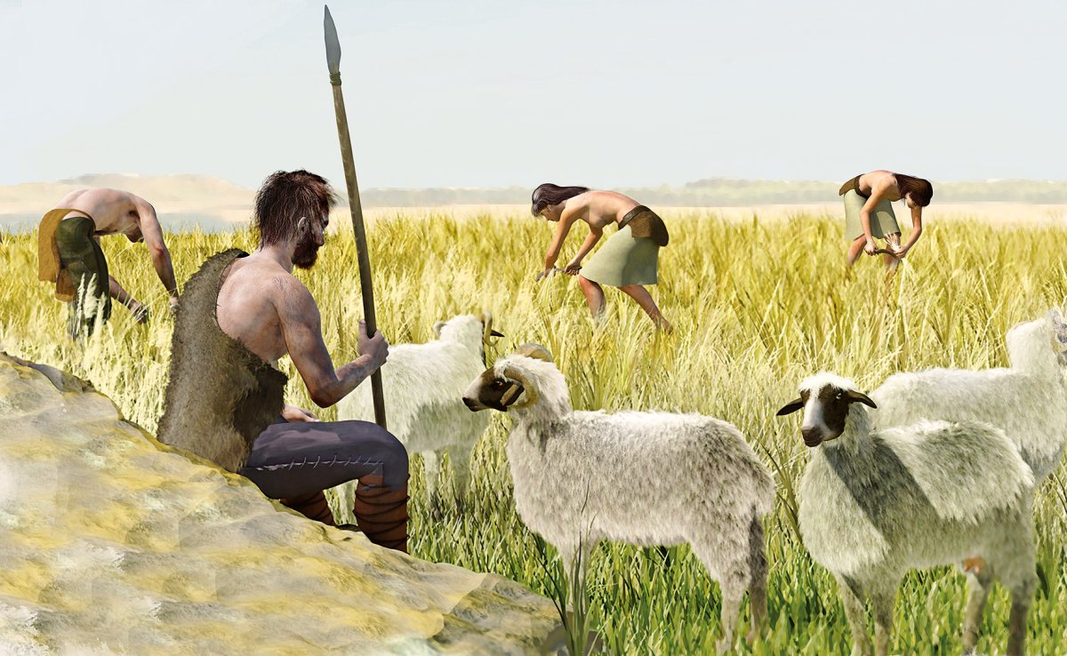 Сельское хозяйство животноводство