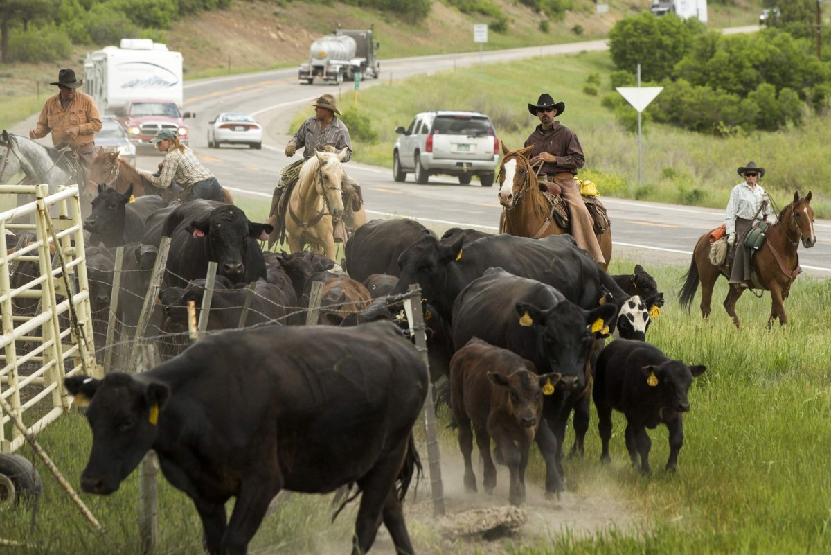 Ферма людей