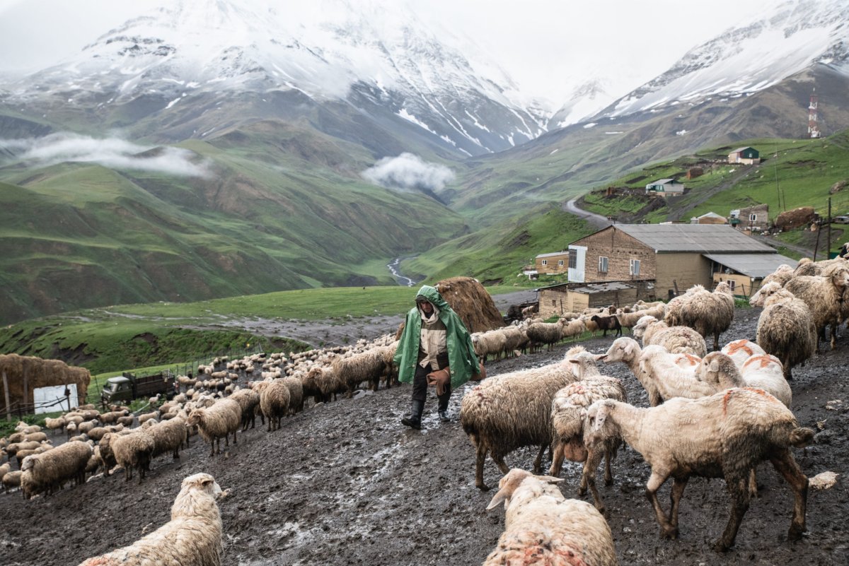 Чабанская стоянка Тыва