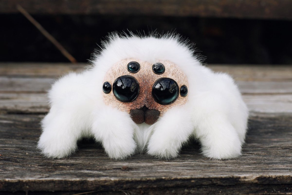 Японская летяга Момонга