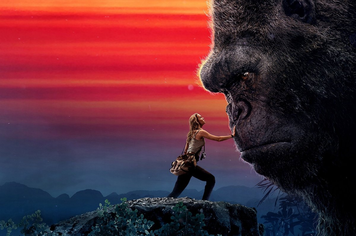 Фото Кинг Конг в шапке Санта Клауса