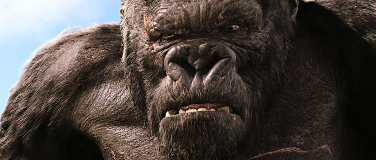 Кинг Конг 2015