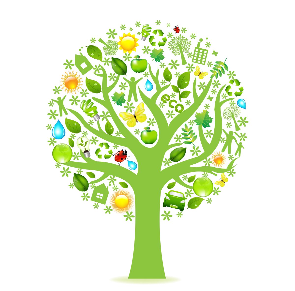 Дерево здоровья в детском саду