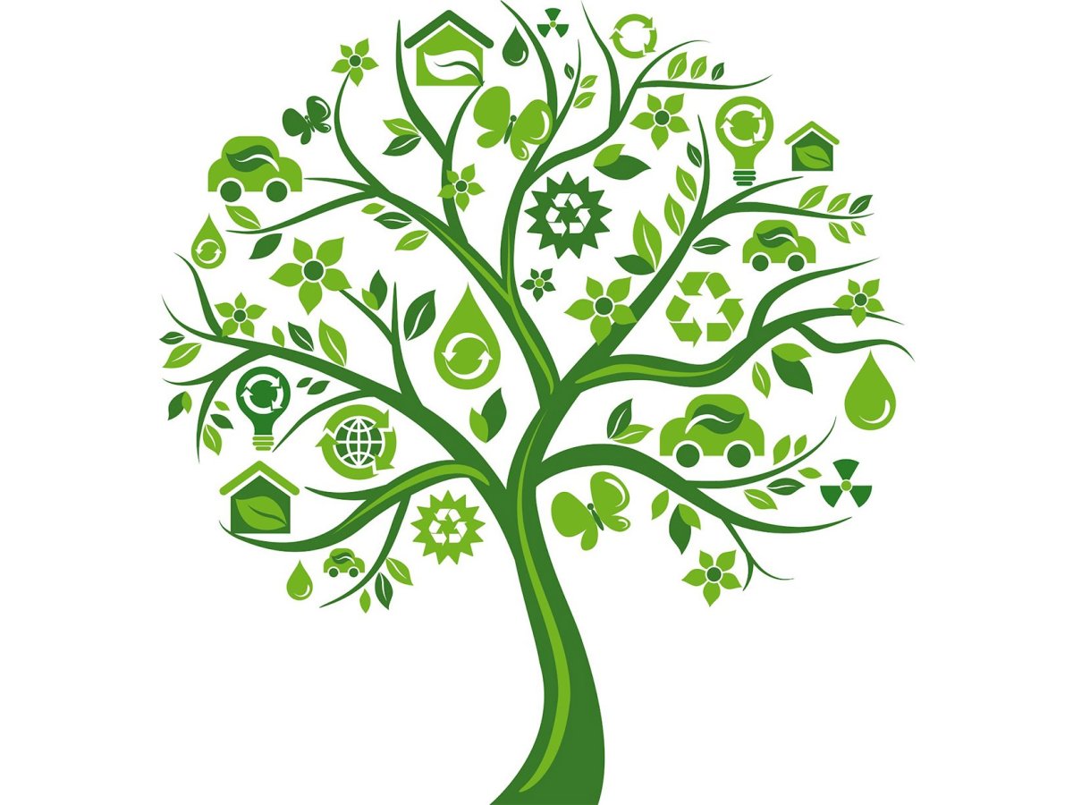 Дерево здоровья вектор