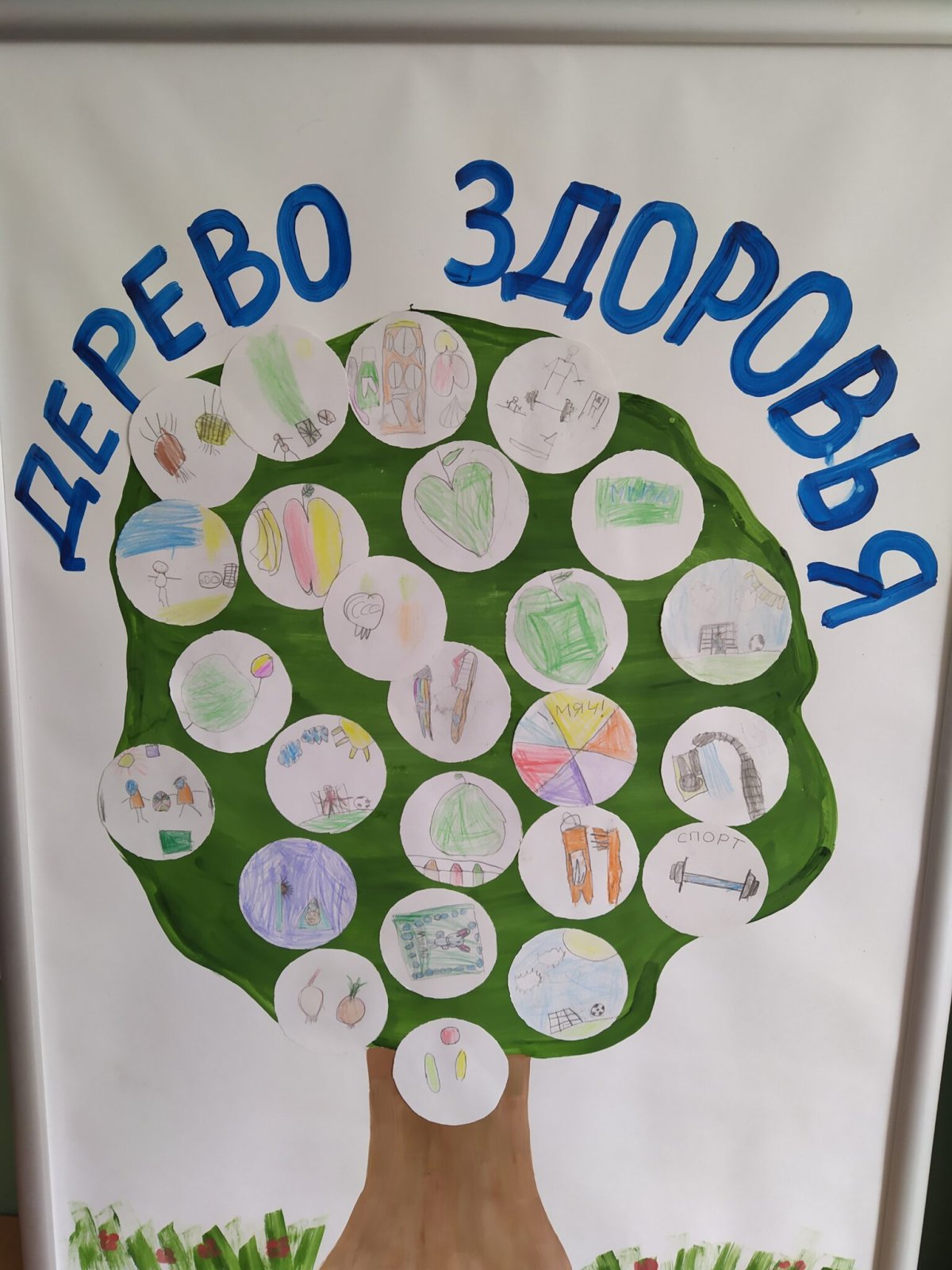 Дерево здорового образа жизни