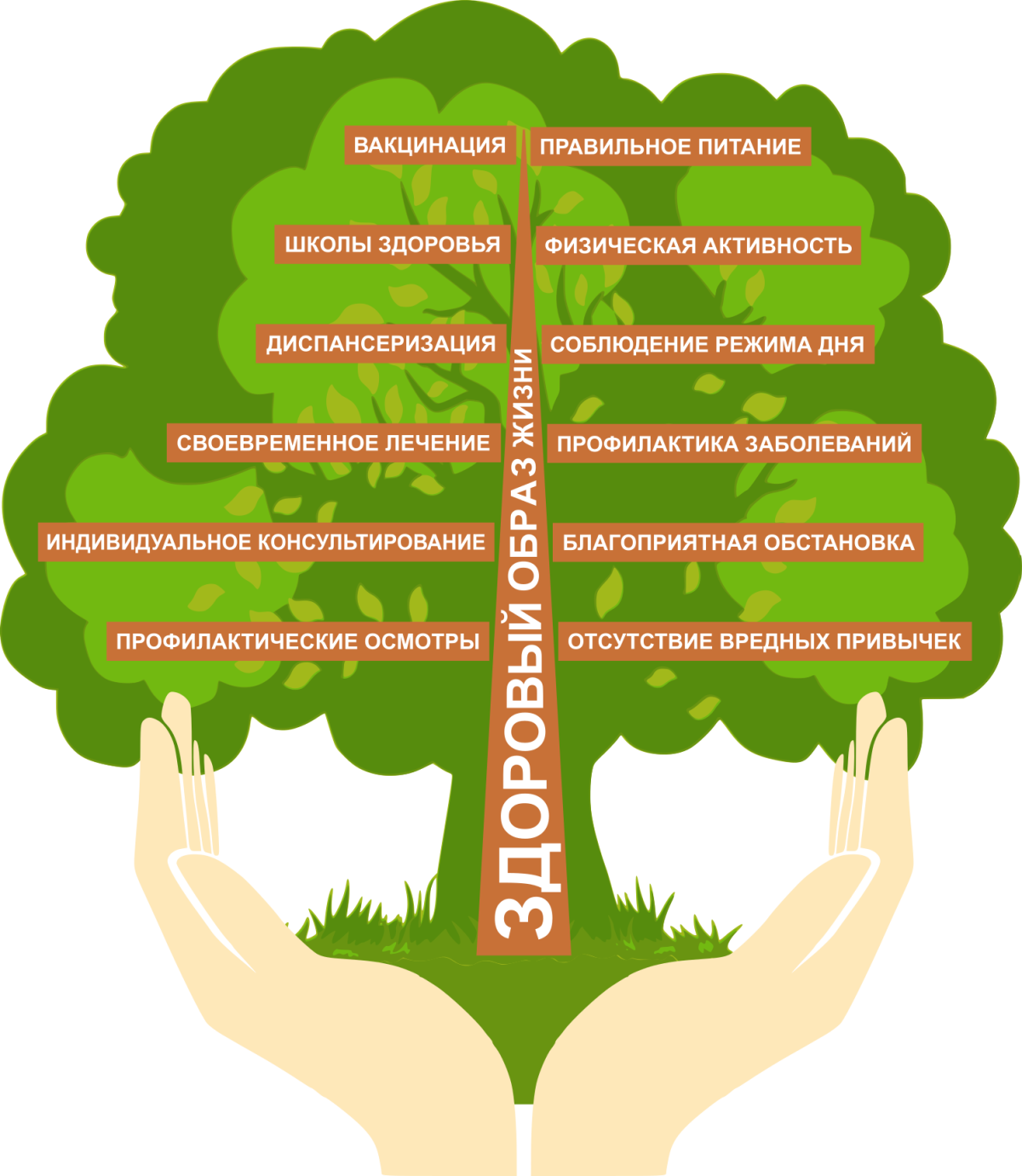 Дерево здоровья в детском