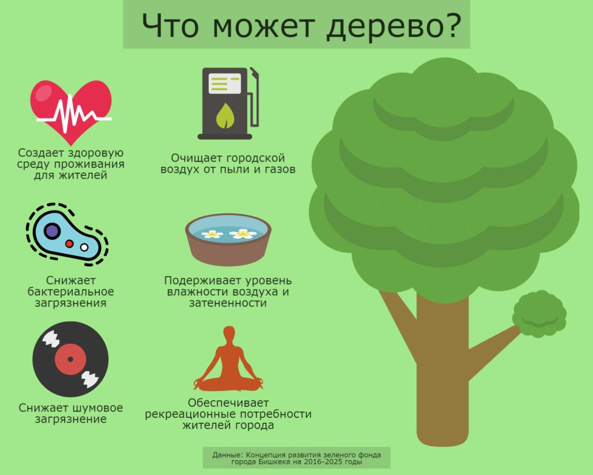 Всемирный день здоровья