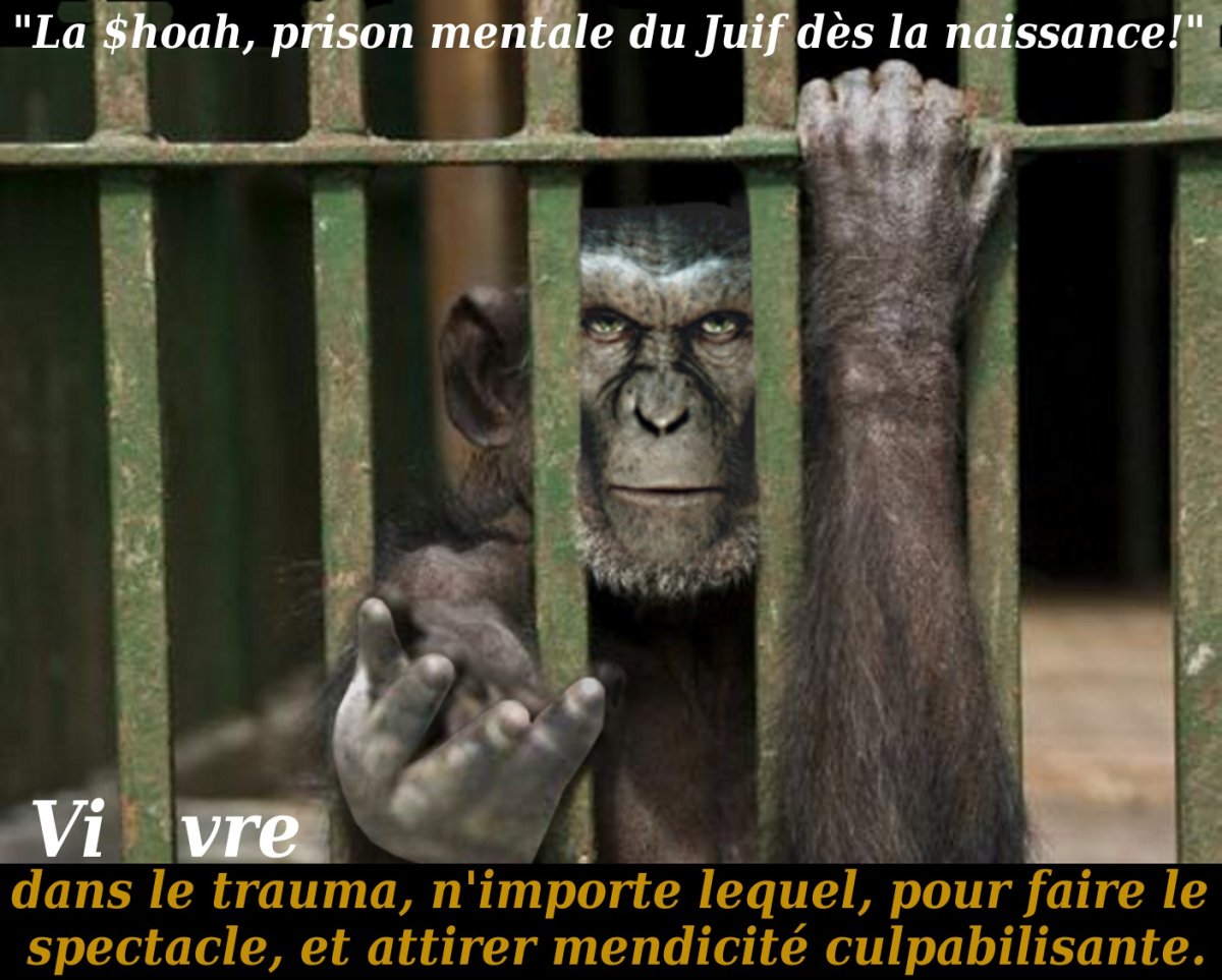 Группа павианов