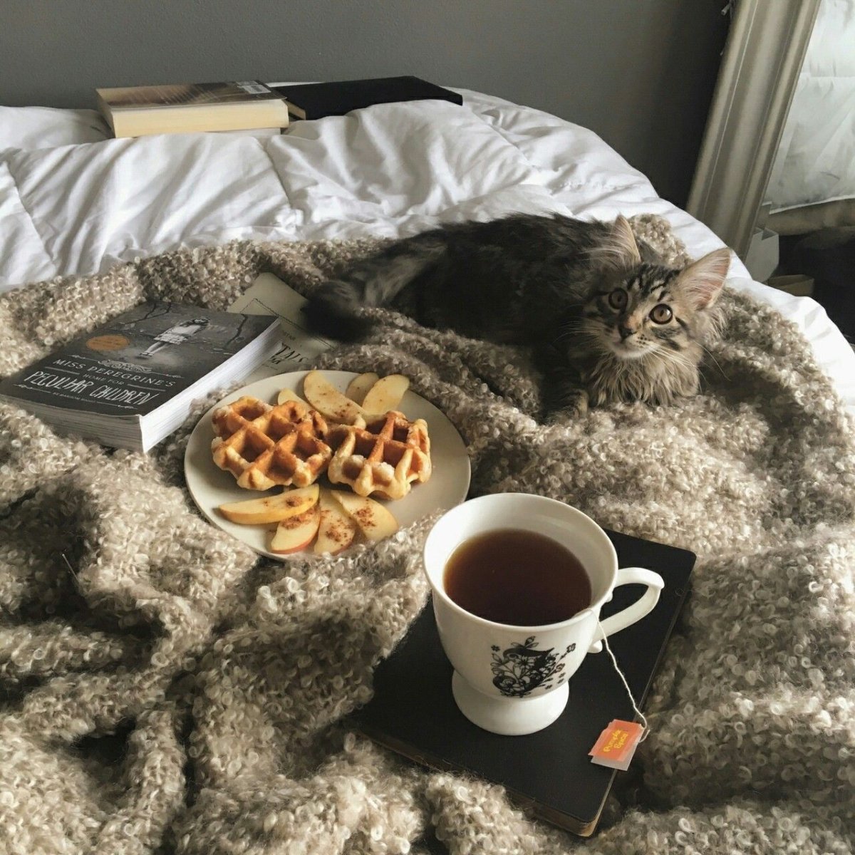 Милые утренние иллюстрации