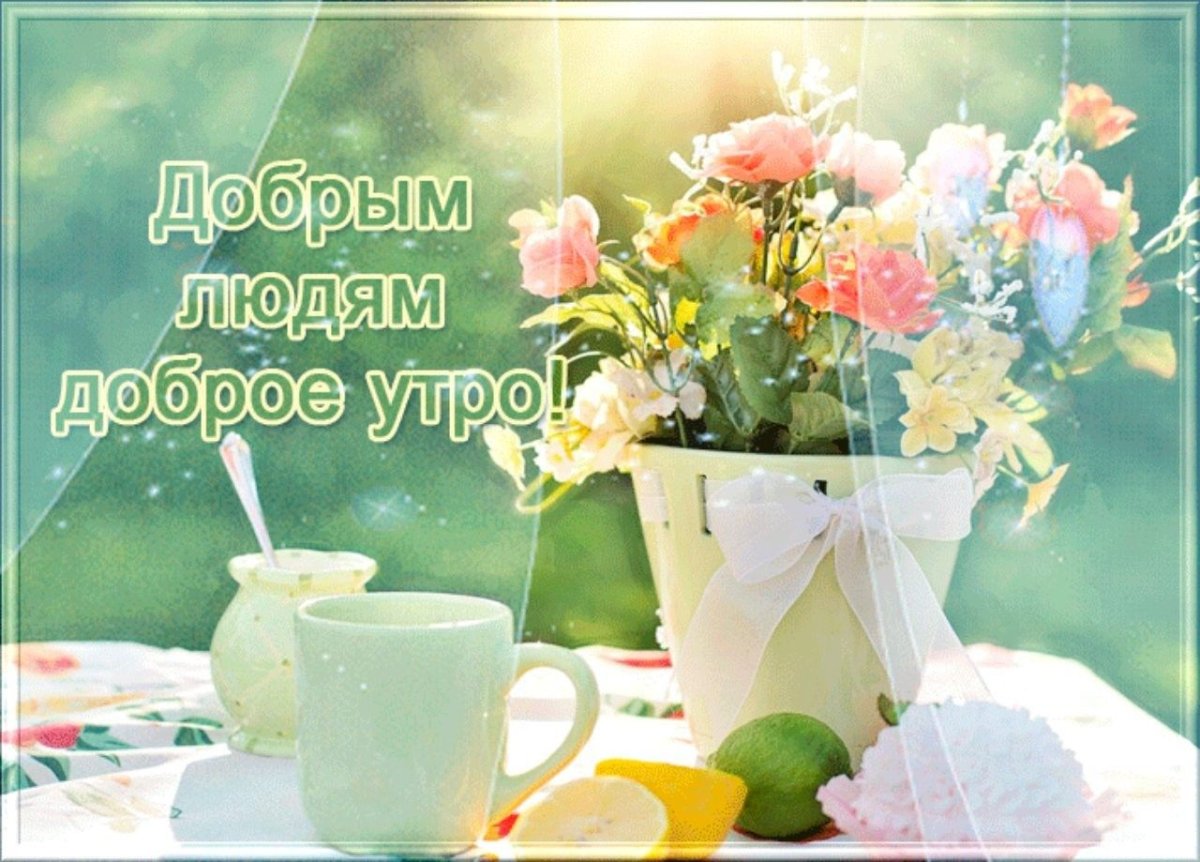 Усталость кот