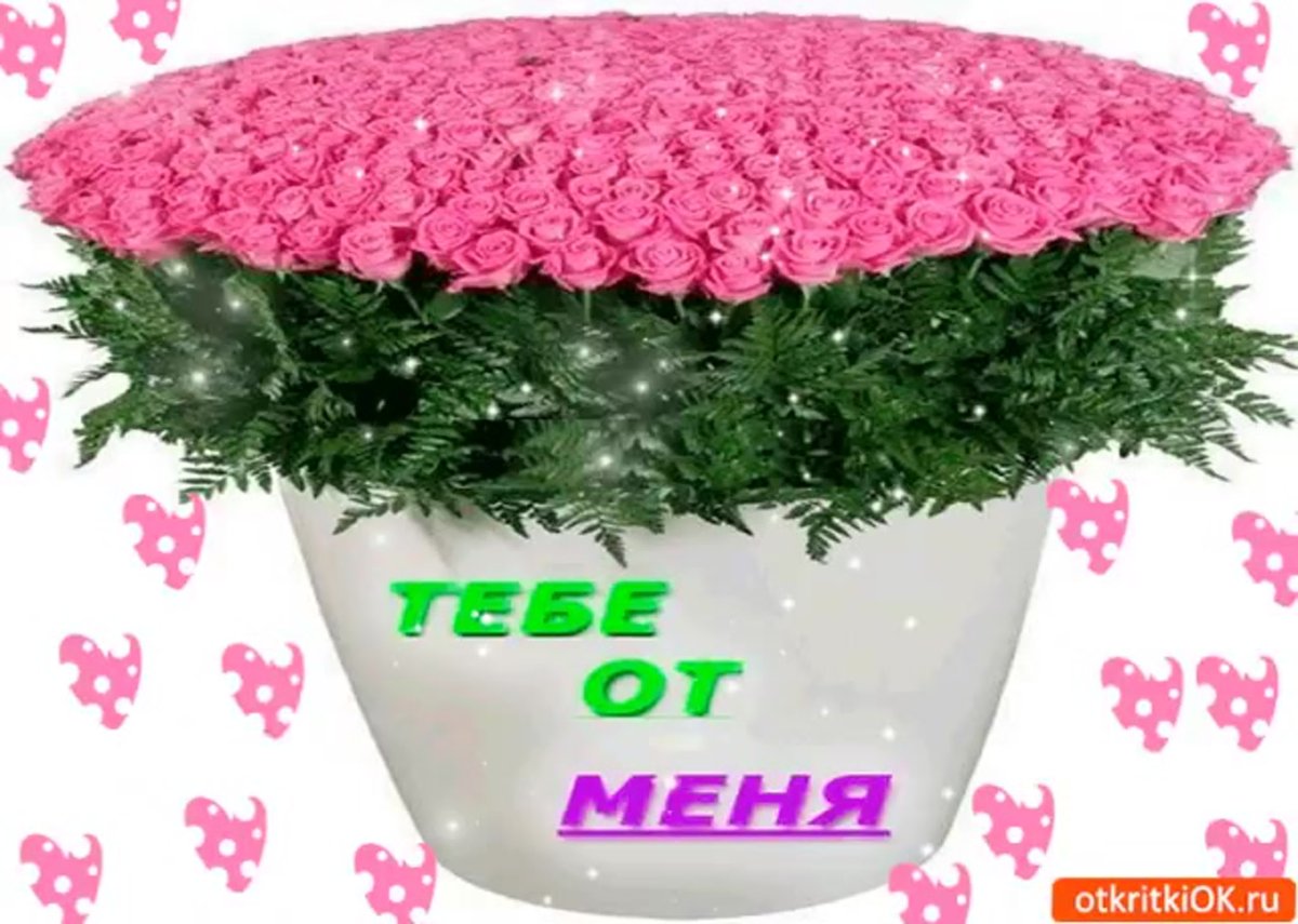 Шикарная корзина цветов