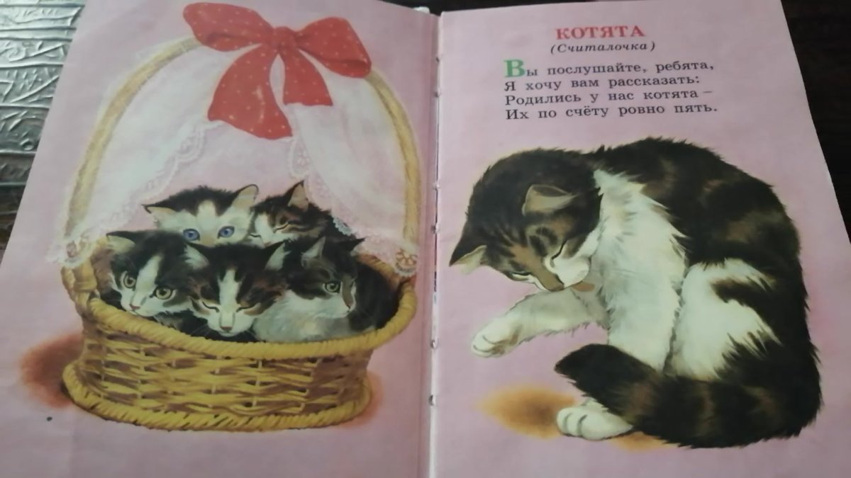 АСТ котята, Михалков с.в.