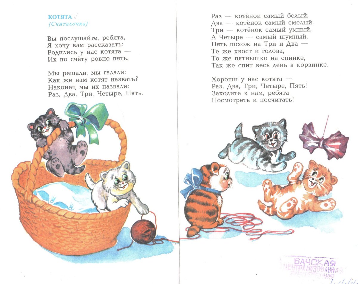 Михалков родились у нас котята