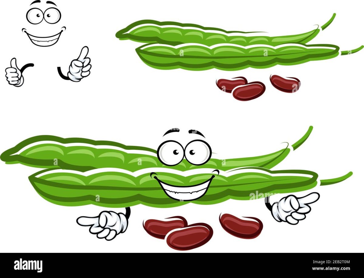 Раскраска круп и бобовых