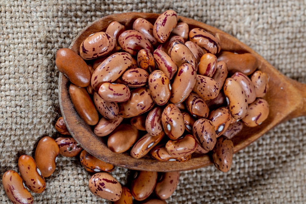 Зерно какао вектор