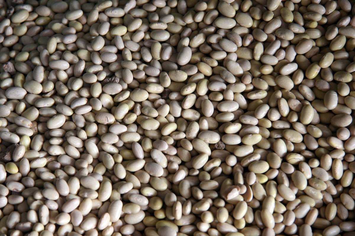 Фасоль маска для детей