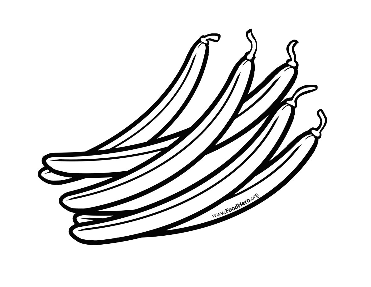 Какао Бобы нарисованные