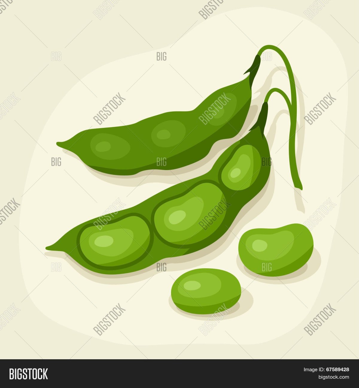 Beans Black and White