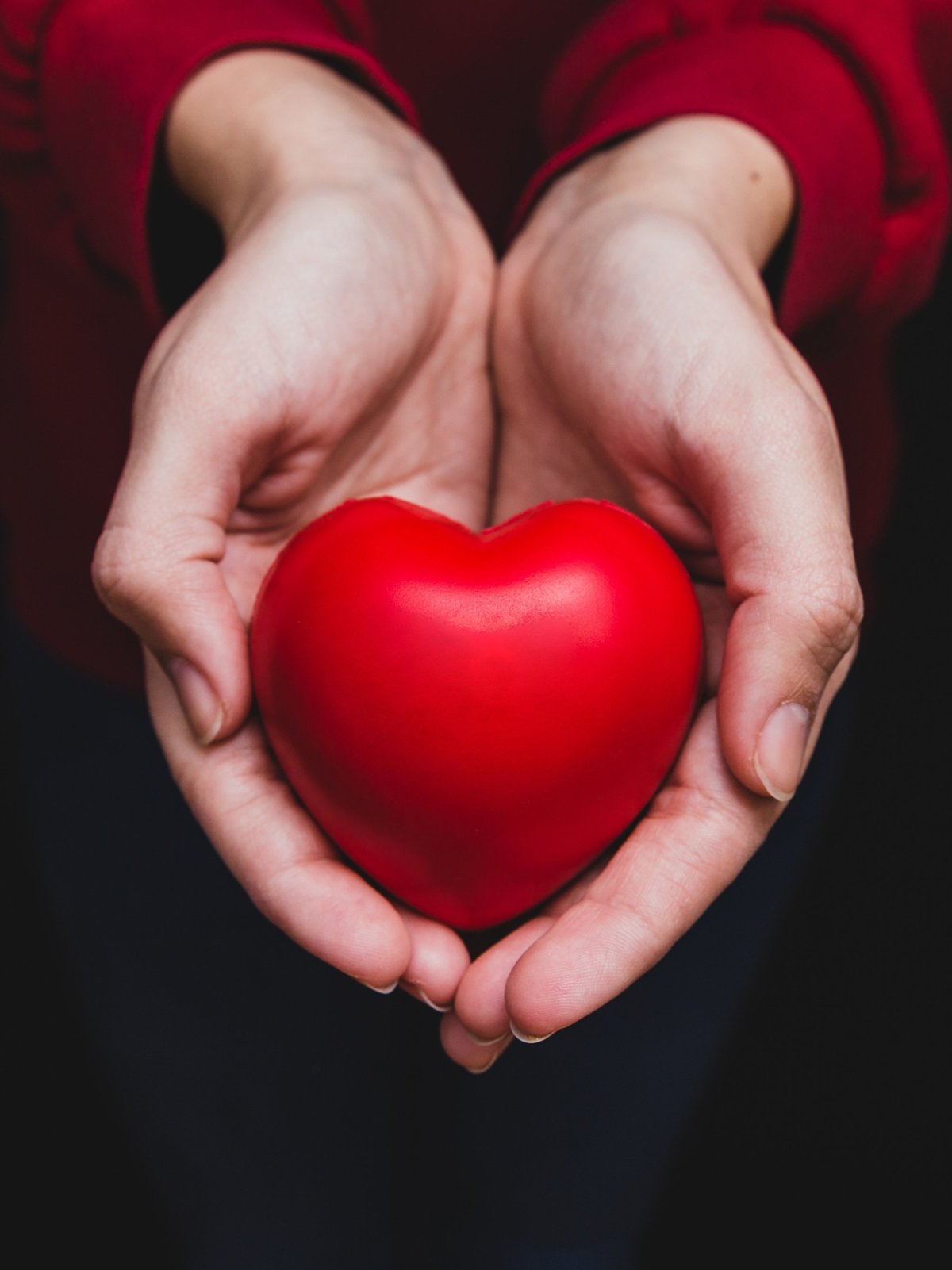 Сердце из цветов в руках