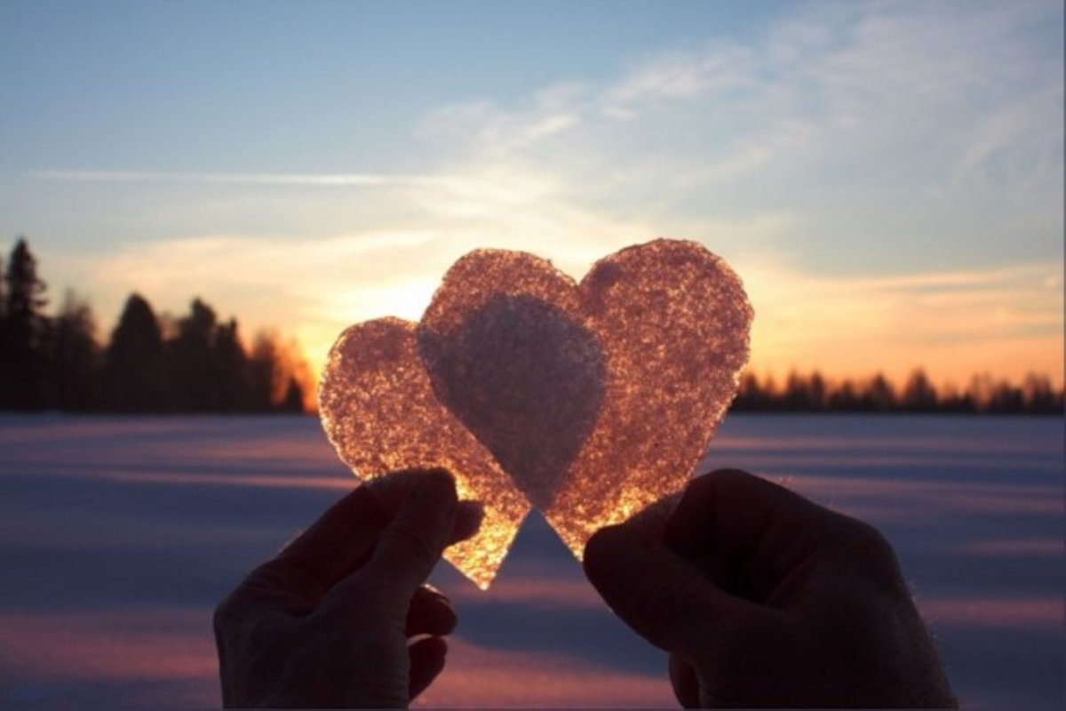 Сердце в ладонях