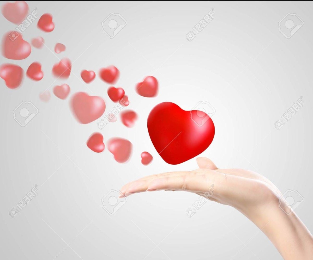 Сердце любовь