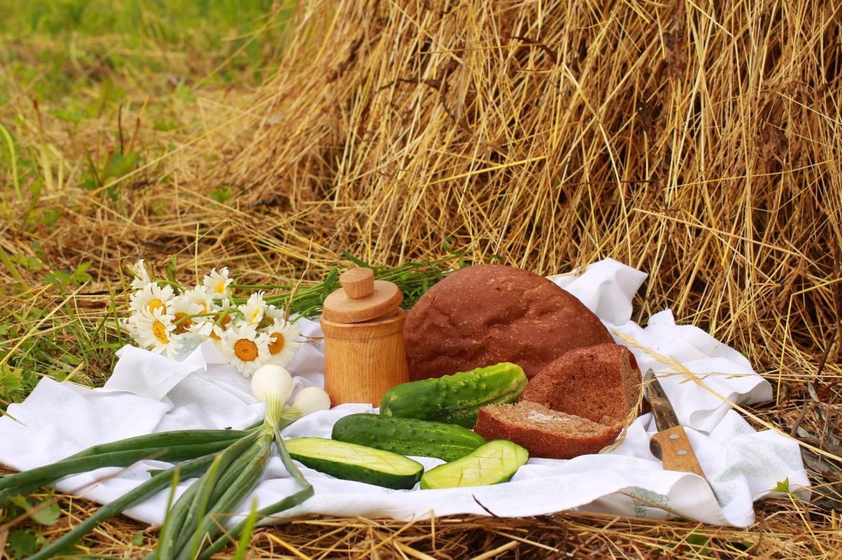 Художник Филипп Кубарев