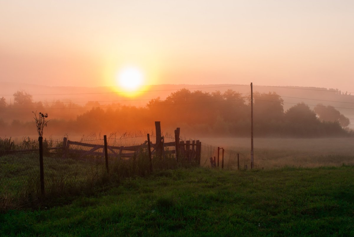 Доброе летнее утро