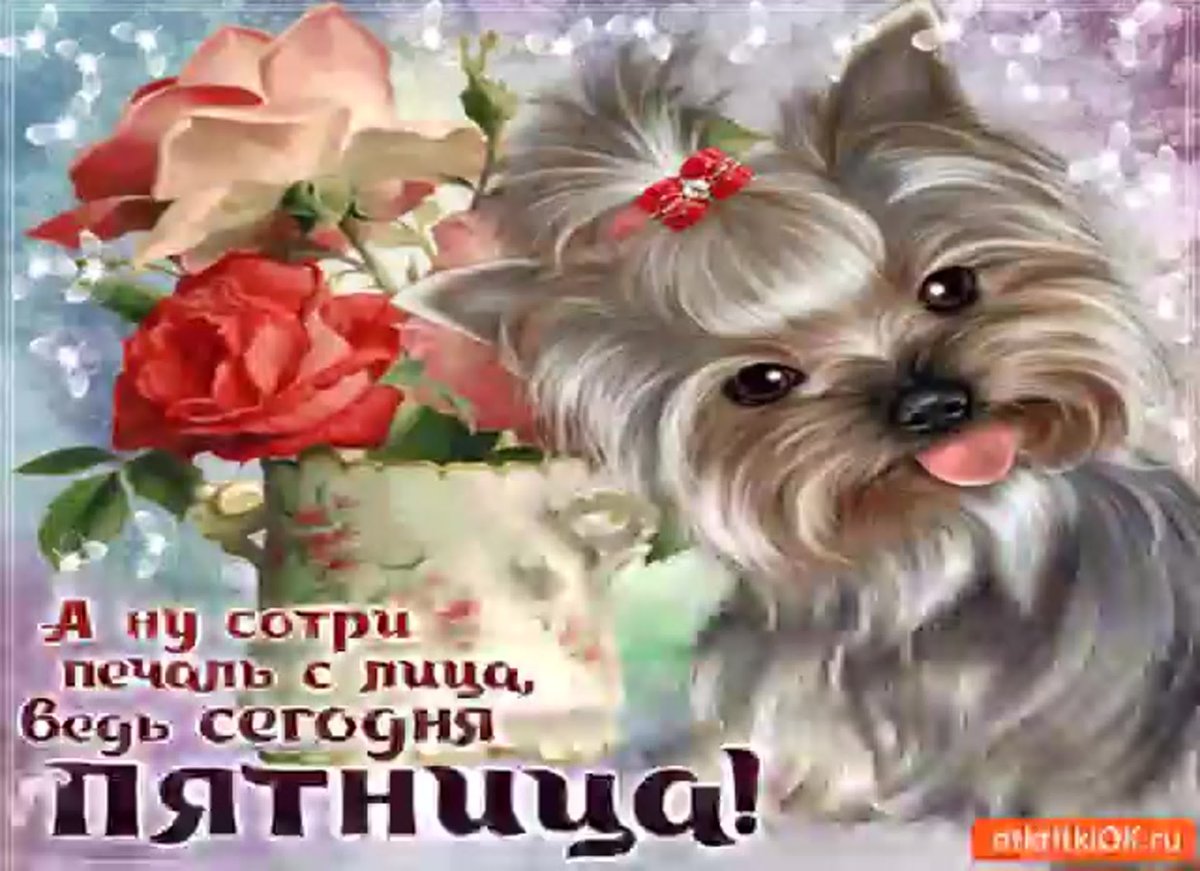 Поздравление с пятницей