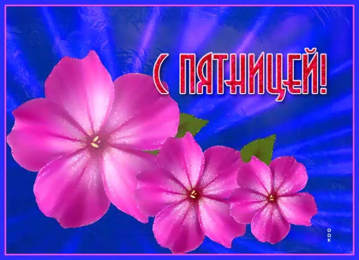 С пятницей 13 прикольные