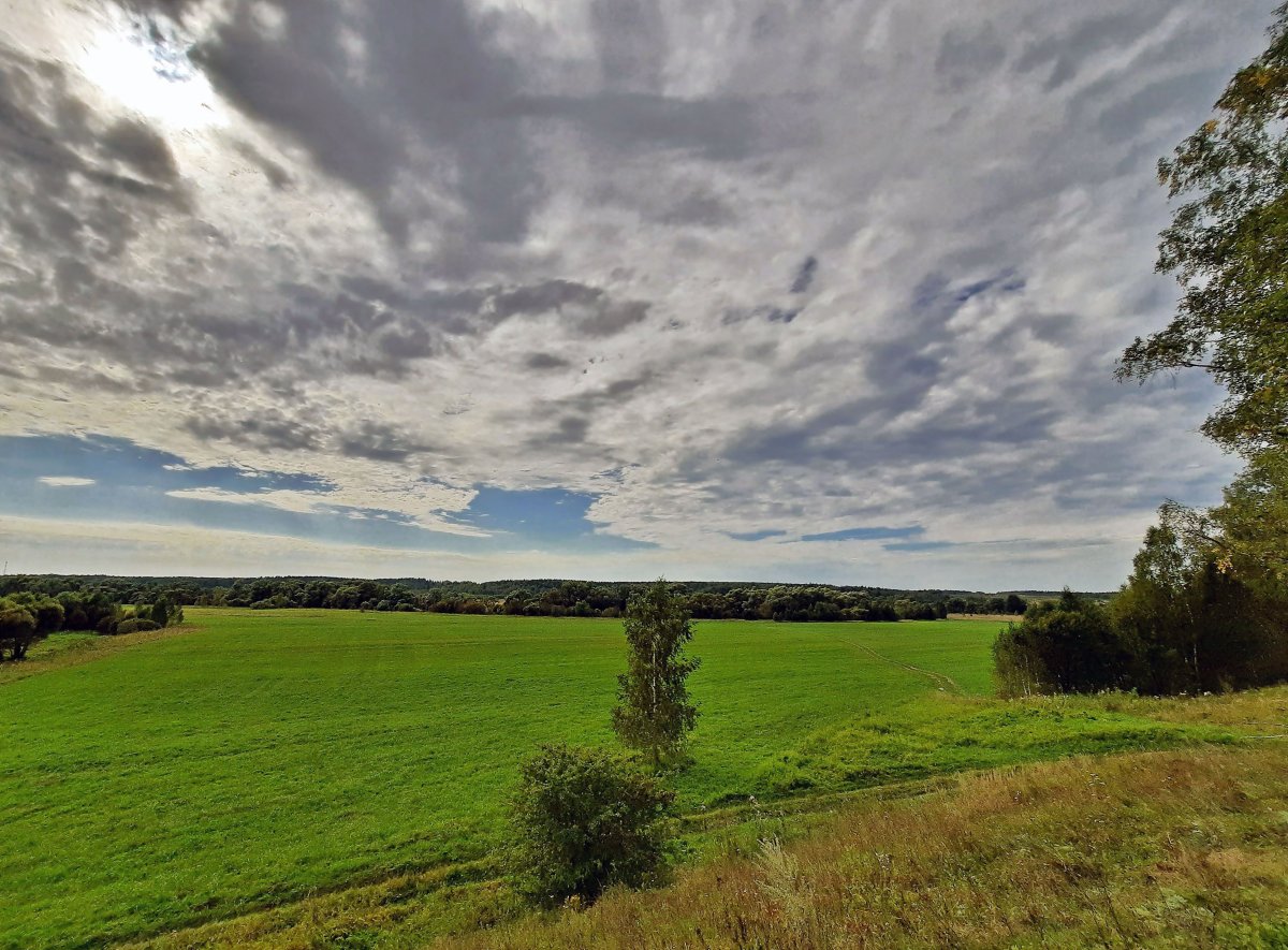 Самые красивая природа Подмосковья