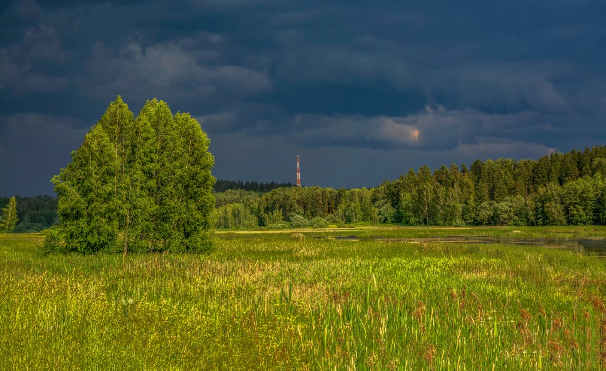 Летние пейзажи Подмосковья