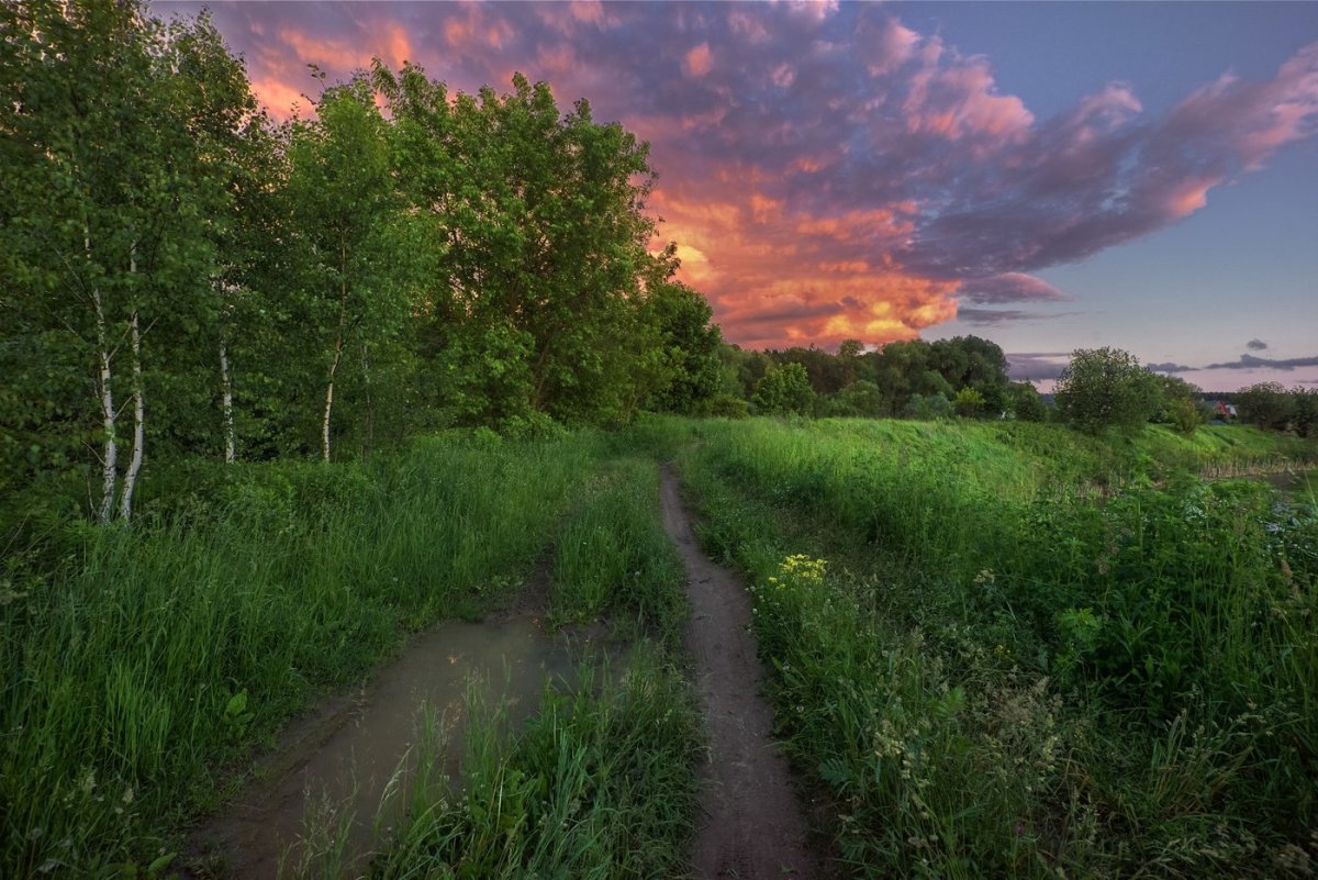 Пастернак Подмосковные Рощи