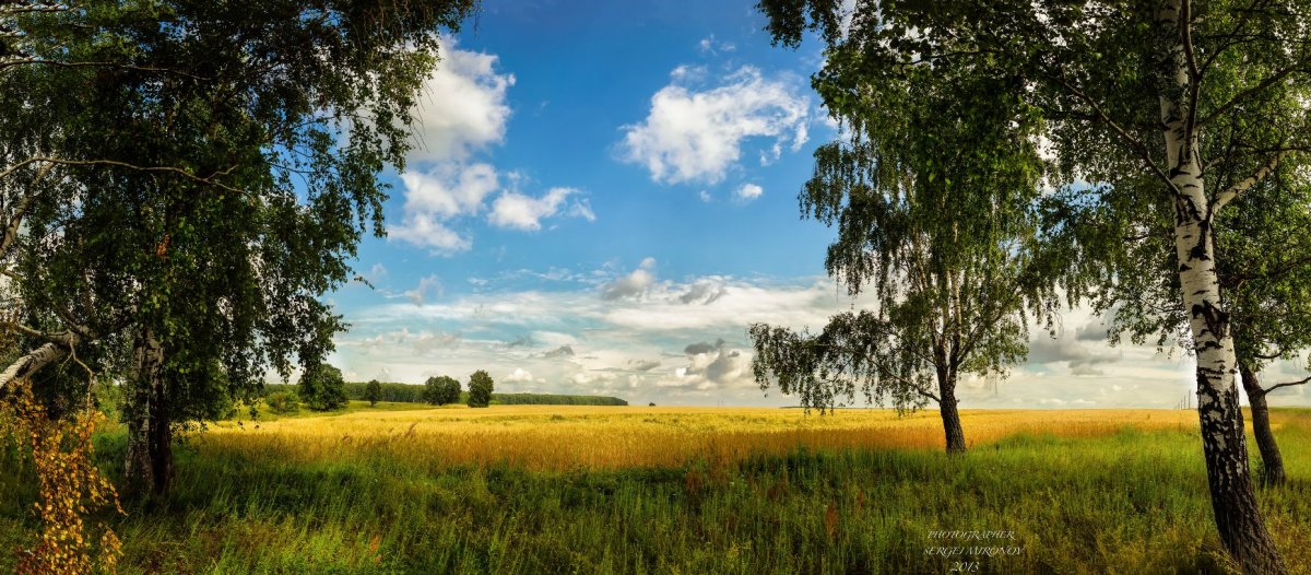 Природа Подмосковья летом