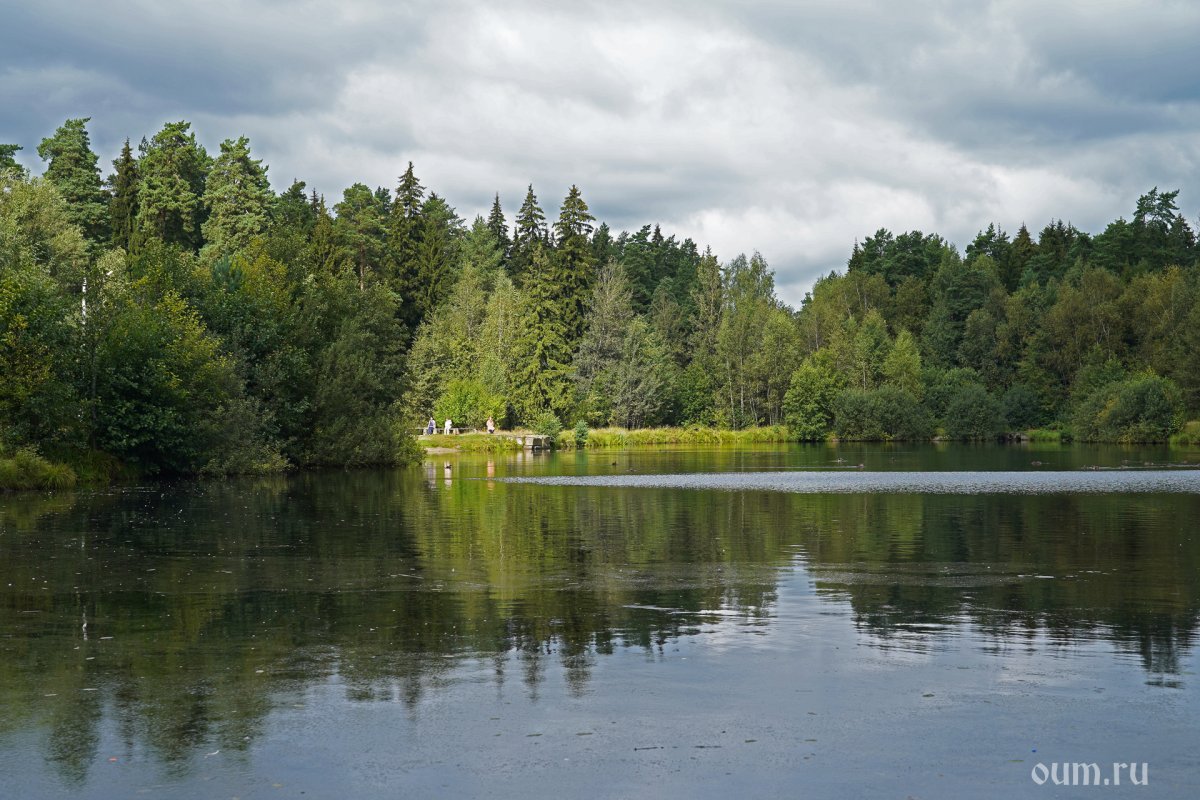 Место для ретрита в Подмосковье